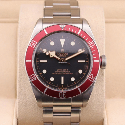 Tudor Black Bay