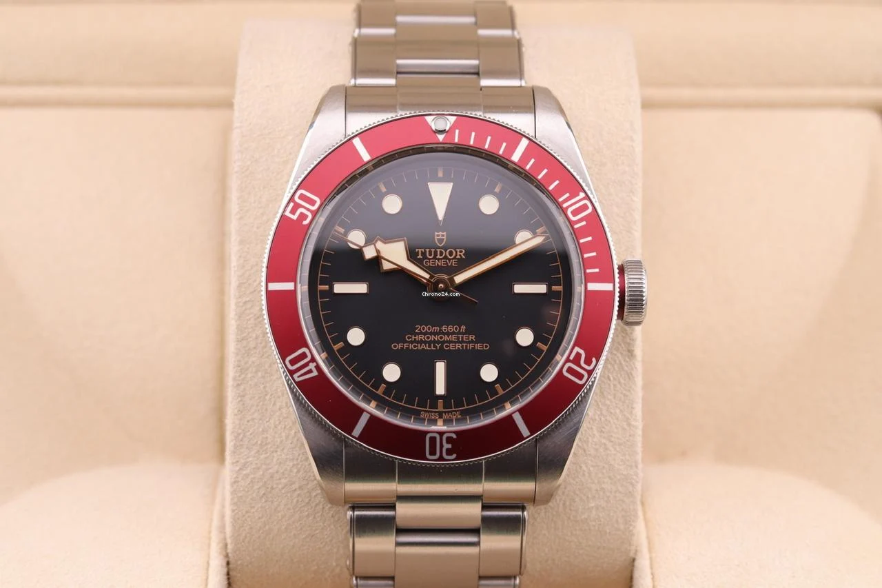 Tudor Black Bay