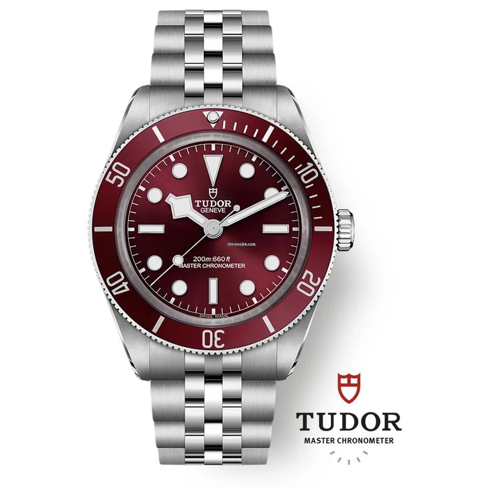 Tudor Black Bay